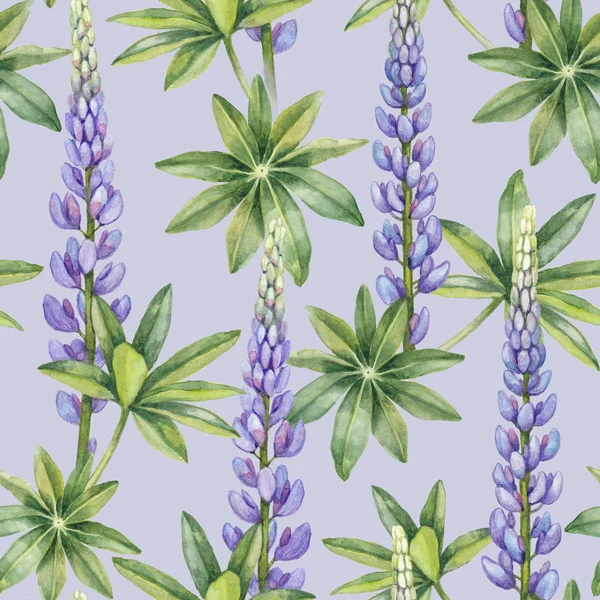 Wild lupine veldboeket patroon — Stockfoto