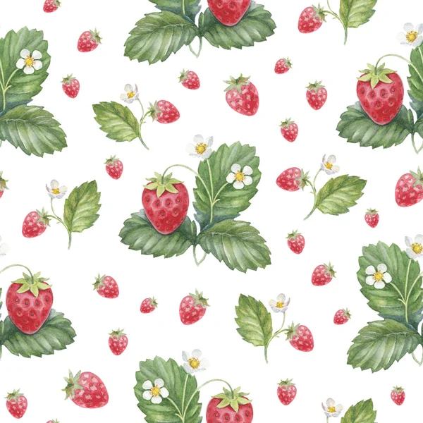 Nahtloses Muster mit Erdbeerbusch — Stockfoto