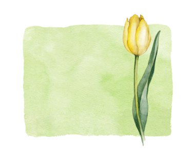 Sulu Boya Lale çiçek