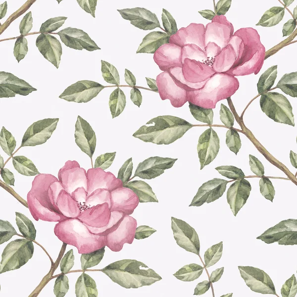 Watercolor pattern with rose illustration — Stock Photo, Image