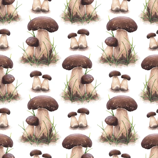 Funghi porcini modello senza cuciture — Foto Stock