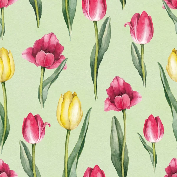 Tulipán květy vzor — Stock fotografie