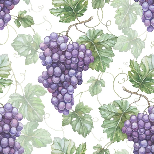 Seamless pattern with grapes — Stock Photo, Image