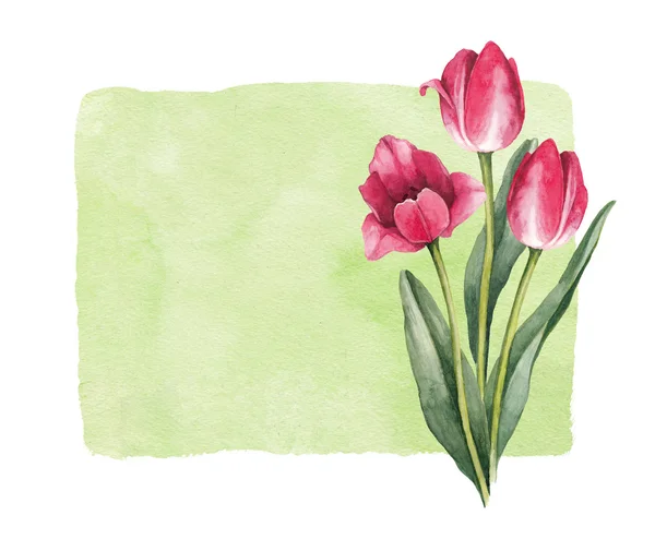 Watercolor tulip flowers. — Stock Photo, Image