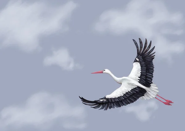 Hand Painted Background Stork Flying Sky Perfect Invitations Greeting Cards — Stock Photo, Image