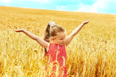Çocuk yaz buğday alanı.