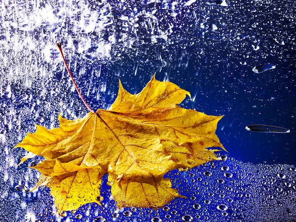Feuille d'automne flottant sur l'eau avec pluie . — Photo