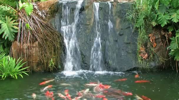 Cascada de montaña — Vídeos de Stock