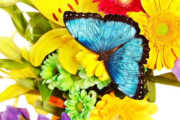 Borboleta e flor . — Fotografia de Stock