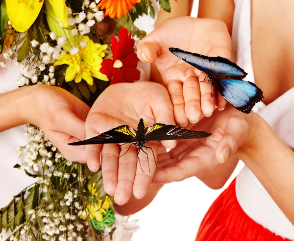 Schmetterling auf der Hand. — Stockfoto