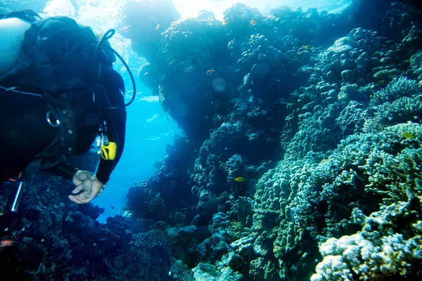 Plongeur sous-marin dans l'eau . — Photo