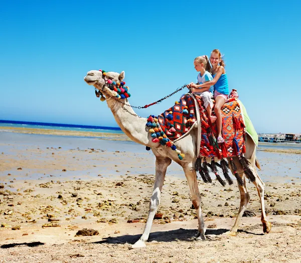 Tourists riding camel on the beach of Egypt. Royalty Free Stock Photos