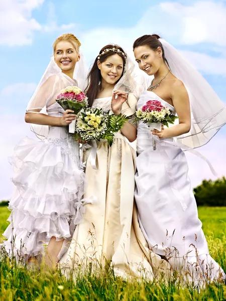 Group bride summer outdoor.or. — Stock Photo, Image
