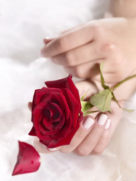 Menyasszony a rózsa csokor — Stock Fotó