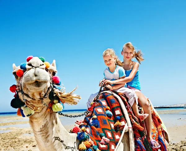 Toeristen rijden camel op het strand van Egypte. Rechtenvrije Stockfoto's