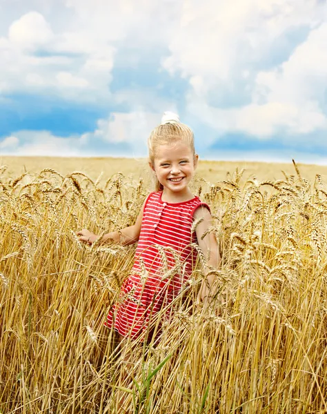 Kind in tarweveld. — Stockfoto