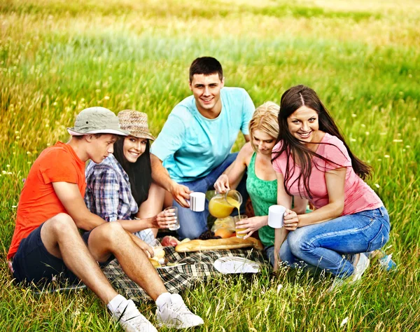 Group people on picnic. — Stock Photo, Image