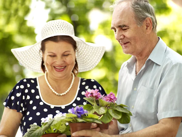 Heureux vieux couple avec fleur . — Photo