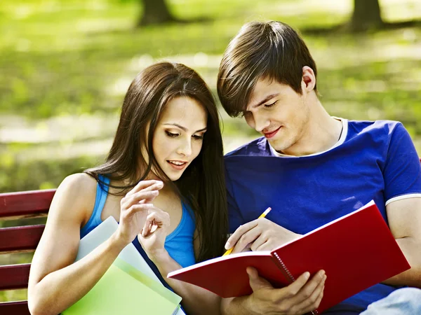 Couple étudiant avec ordinateur portable en plein air . — Photo