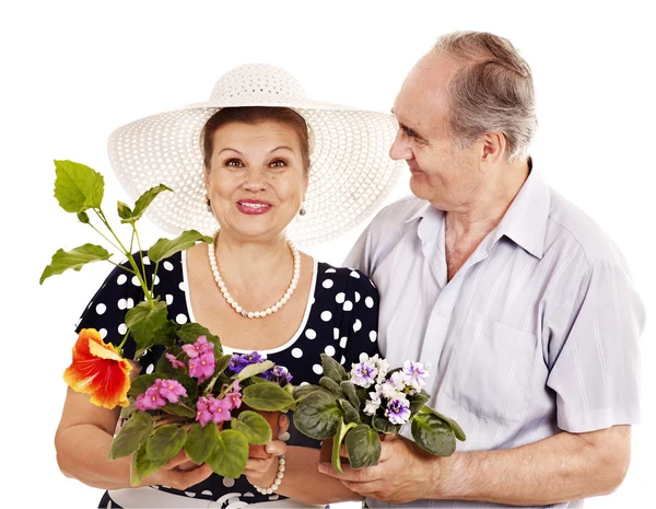 Altes Ehepaar mit Blume. — Stockfoto