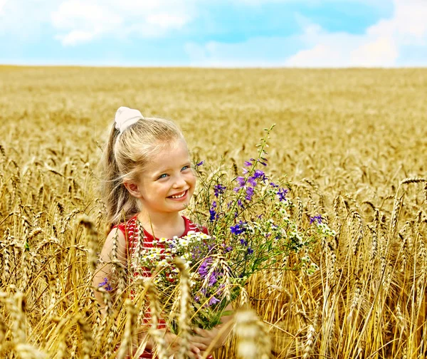 Kind in tarweveld. — Stockfoto