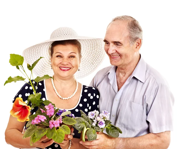 Old couple holding flower. — Stock Photo, Image