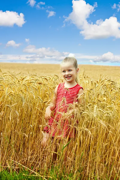 Child in wheat field. — Stock Photo, Image