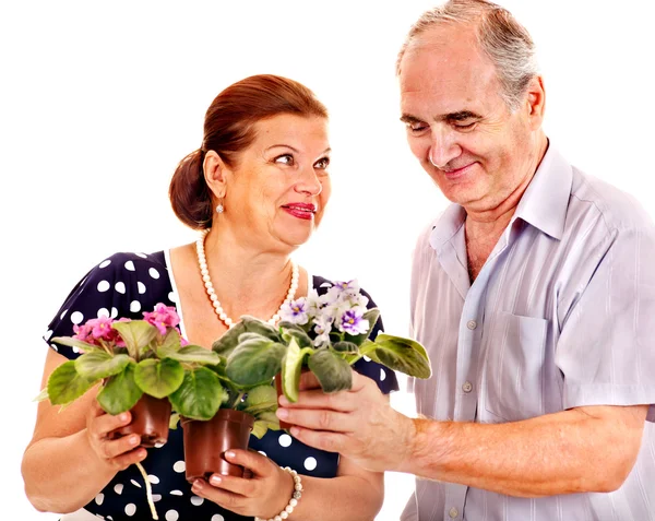 Oude paar bedrijf bloem. — Stockfoto