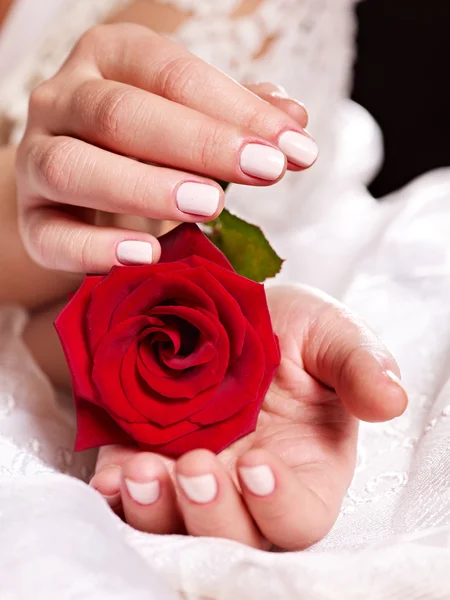 Female hand with rose bouquet — Stock Photo, Image