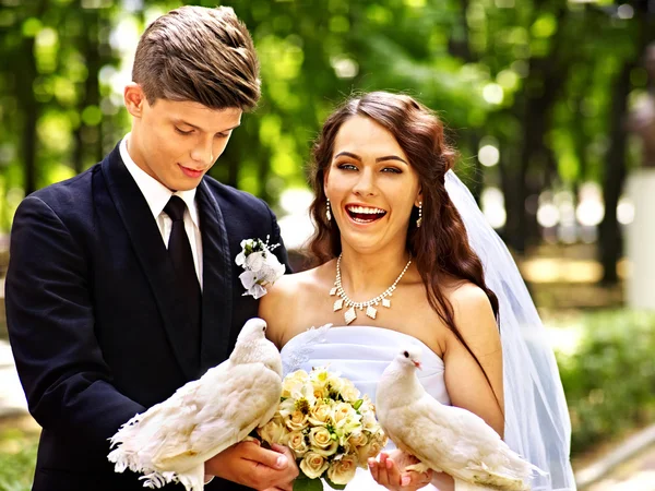 Bride and groom — Stock Photo, Image