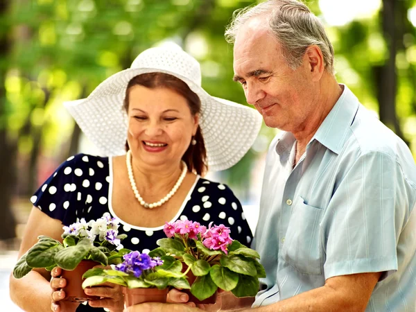 Casal velho feliz com flor . — Fotografia de Stock