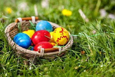 Yeşil çimlerin üzerinde paskalya yumurtaları.