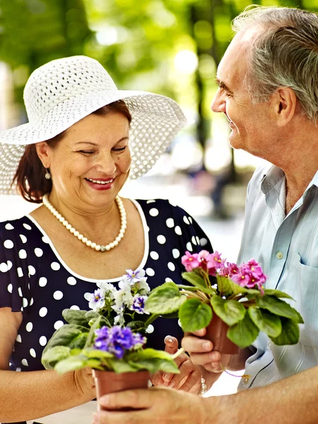 Glückliches altes Paar mit Blume. — Stockfoto