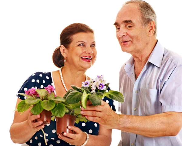 Casal velho com vasos de flores — Fotografia de Stock