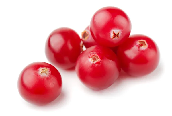 Preiselbeeren — Stockfoto