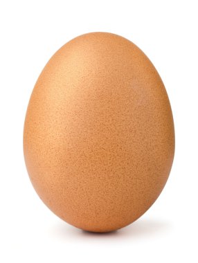 Egg isolated clipart