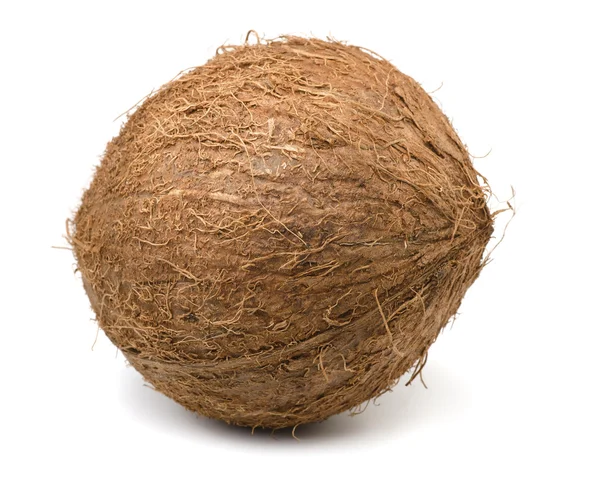 Coconut — Stock Photo, Image