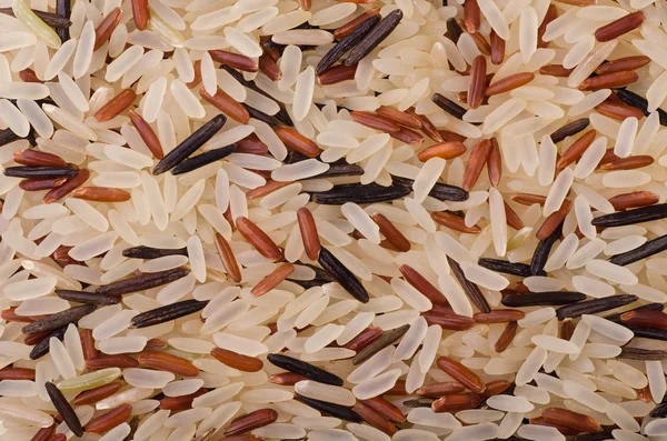 Рисовая смесь — стоковое фото