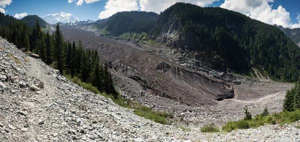 Mt. Glacier Rainier Carbon — Photo