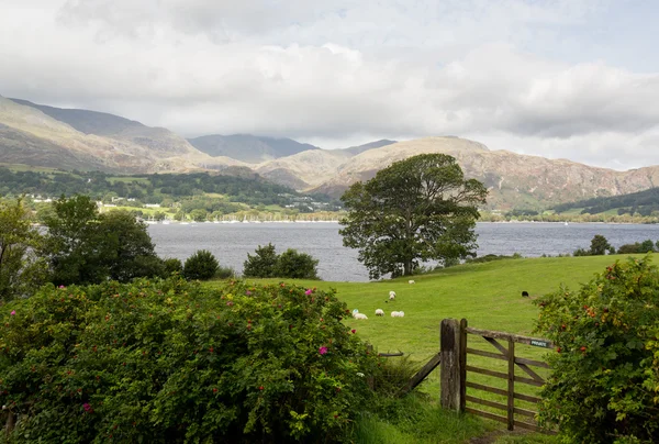 Affaccio sull'acqua di Coniston nel Lake District — Foto Stock