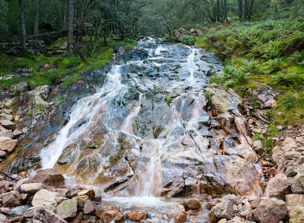 Lait aigre branchies par Buttermere dans Lake District — Photo