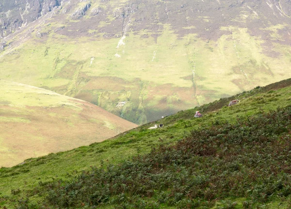 Newlands Pass in Lake District in England — Stock Photo, Image