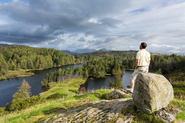 Vista su Tarn Hows nel Lake District inglese — Foto Stock