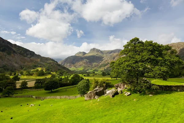 Langdale pikes lake District — Stok fotoğraf