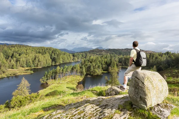 Vista sobre Tarn Hows em Inglês Lake District — Fotografia de Stock