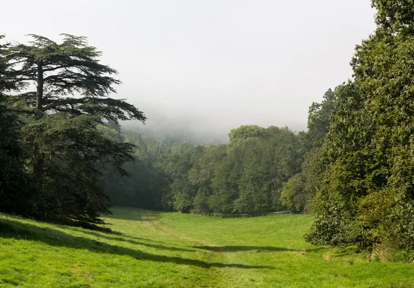 Landelijke scène in cotswolds met mist — Stockfoto