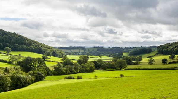 Панорама сельской местности Уэльса — стоковое фото