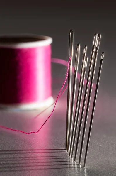 Row of embroidery sewing needles — Stock Photo, Image