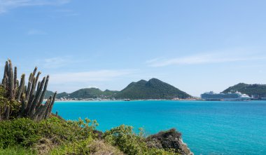 philipsburg boru kaktüs çerçeveleri göster