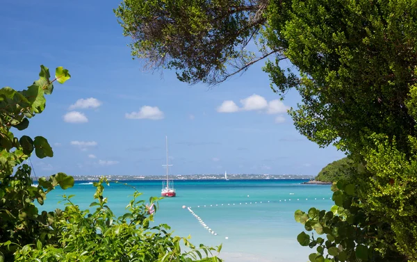 Slavná pláž anse marcel na st martin — Stock fotografie